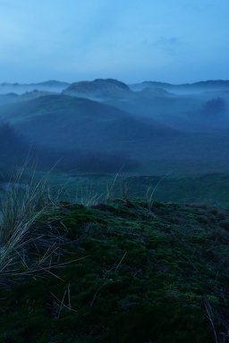 Texel